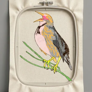 Дизайн машинной вышивки. Птицы (Размер 73x98мм). Форматы: DST PES JEF VP3 EXP XXX . Стежков: 10547